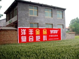 远安如何让墙体广告展现最大化效果