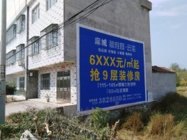 远安墙体广告质量分析