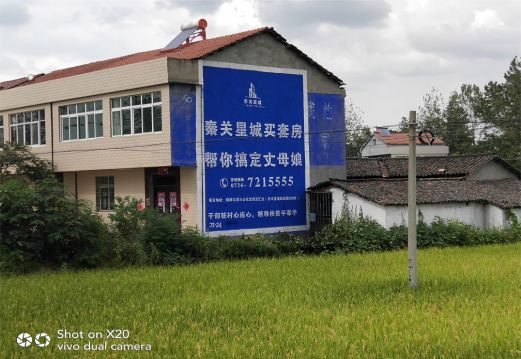 远安决定墙体广告价格的因素有哪些?
